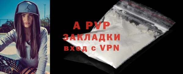 индика Волосово