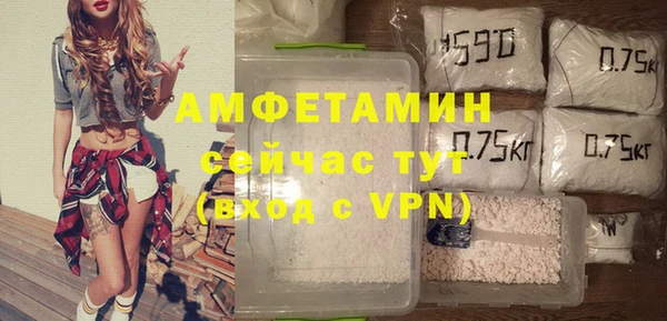 индика Волосово