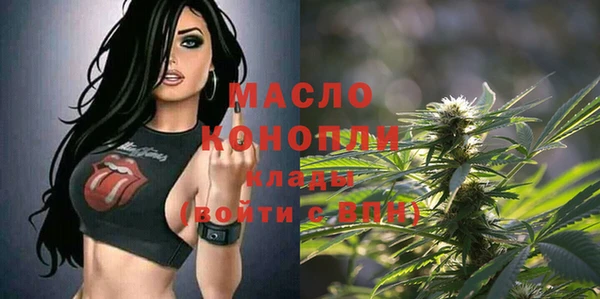 индика Волосово
