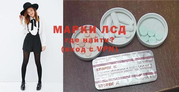 индика Волосово