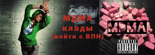 индика Волосово