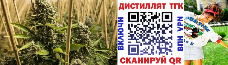 ТГК жижа  цены наркотик  Долинск 