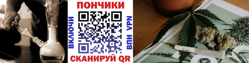 Конопля сатива  как найти закладки  Долинск 